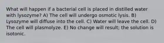 What will happen if a bacterial cell is placed in distilled water with lysozyme? A) The cell will undergo osmotic lysis. B) Lysozyme will diffuse into the cell. C) Water will leave the cell. D) The cell will plasmolyze. E) No change will result; the solution is isotonic.