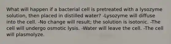 What will happen if a bacterial cell is pretreated with a lysozyme solution, then placed in distilled water? -Lysozyme will diffuse into the cell. -No change will result; the solution is isotonic. -The cell will undergo osmotic lysis. -Water will leave the cell. -The cell will plasmolyze.