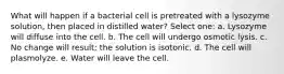 What will happen if a bacterial cell is pretreated with a lysozyme solution, then placed in distilled water? Select one: a. Lysozyme will diffuse into the cell. b. The cell will undergo osmotic lysis. c. No change will result; the solution is isotonic. d. The cell will plasmolyze. e. Water will leave the cell.