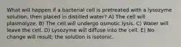 What will happen if a bacterial cell is pretreated with a lysozyme solution, then placed in distilled water? A) The cell will plasmolyze. B) The cell will undergo osmotic lysis. C) Water will leave the cell. D) Lysozyme will diffuse into the cell. E) No change will result; the solution is isotonic.