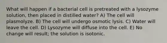 What will happen if a bacterial cell is pretreated with a lysozyme solution, then placed in distilled water? A) The cell will plasmolyze. B) The cell will undergo osmotic lysis. C) Water will leave the cell. D) Lysozyme will diffuse into the cell. E) No change will result; the solution is isotonic.