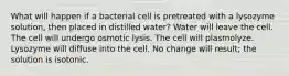 What will happen if a bacterial cell is pretreated with a lysozyme solution, then placed in distilled water? Water will leave the cell. The cell will undergo osmotic lysis. The cell will plasmolyze. Lysozyme will diffuse into the cell. No change will result; the solution is isotonic.