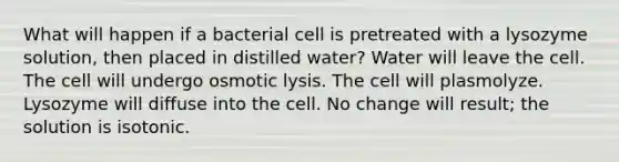 What will happen if a bacterial cell is pretreated with a lysozyme solution, then placed in distilled water? Water will leave the cell. The cell will undergo osmotic lysis. The cell will plasmolyze. Lysozyme will diffuse into the cell. No change will result; the solution is isotonic.