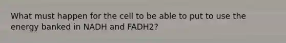 What must happen for the cell to be able to put to use the energy banked in NADH and FADH2?