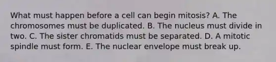 What must happen before a cell can begin mitosis? A. The chromosomes must be duplicated. B. The nucleus must divide in two. C. The sister chromatids must be separated. D. A mitotic spindle must form. E. The nuclear envelope must break up.