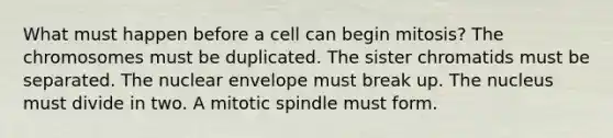 What must happen before a cell can begin mitosis? The chromosomes must be duplicated. The sister chromatids must be separated. The nuclear envelope must break up. The nucleus must divide in two. A mitotic spindle must form.