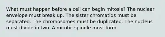 What must happen before a cell can begin mitosis? The nuclear envelope must break up. The sister chromatids must be separated. The chromosomes must be duplicated. The nucleus must divide in two. A mitotic spindle must form.