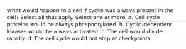 What would happen to a cell if cyclin was always present in the cell? Select all that apply. Select one or more: a. Cell cycle proteins would be always phosphorylated. b. Cyclin-dependent kinases would be always activated. c. The cell would divide rapidly. d. The cell cycle would not stop at checkpoints.