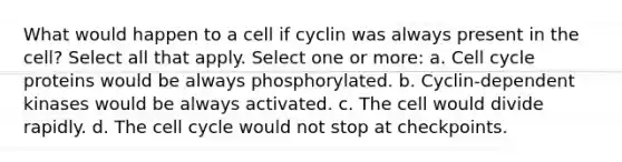 What would happen to a cell if cyclin was always present in the cell? Select all that apply. Select one or more: a. Cell cycle proteins would be always phosphorylated. b. Cyclin-dependent kinases would be always activated. c. The cell would divide rapidly. d. The cell cycle would not stop at checkpoints.