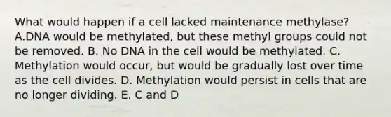 What would happen if a cell lacked maintenance methylase? A.DNA would be methylated, but these methyl groups could not be removed. B. No DNA in the cell would be methylated. C. Methylation would occur, but would be gradually lost over time as the cell divides. D. Methylation would persist in cells that are no longer dividing. E. C and D