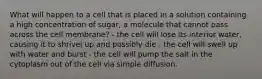 What will happen to a cell that is placed in a solution containing a high concentration of sugar, a molecule that cannot pass across the cell membrane? - the cell will lose its interior water, causing it to shrivel up and possibly die - the cell will swell up with water and burst - the cell will pump the salt in the cytoplasm out of the cell via simple diffusion.