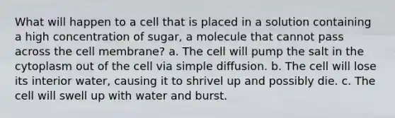 What will happen to a cell that is placed in a solution containing a high concentration of sugar, a molecule that cannot pass across the cell membrane? a. The cell will pump the salt in the cytoplasm out of the cell via simple diffusion. b. The cell will lose its interior water, causing it to shrivel up and possibly die. c. The cell will swell up with water and burst.