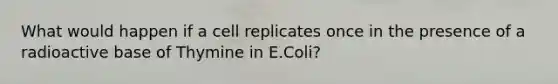 What would happen if a cell replicates once in the presence of a radioactive base of Thymine in E.Coli?