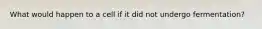What would happen to a cell if it did not undergo fermentation?