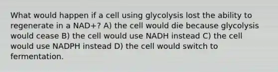 What would happen if a cell using glycolysis lost the ability to regenerate in a NAD+? A) the cell would die because glycolysis would cease B) the cell would use NADH instead C) the cell would use NADPH instead D) the cell would switch to fermentation.