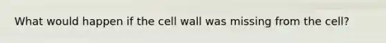 What would happen if the cell wall was missing from the cell?