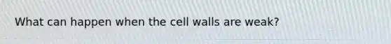 What can happen when the cell walls are weak?