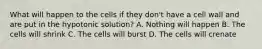 What will happen to the cells if they don't have a cell wall and are put in the hypotonic solution? A. Nothing will happen B. The cells will shrink C. The cells will burst D. The cells will crenate