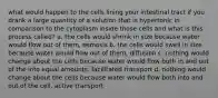 what would happen to the cells lining your intestinal tract if you drank a large quantity of a solution that is hypertonic in comparison to the cytoplasm inside those cells and what is this process called? a. the cells would shrink in size because water would flow out of them, osmosis b. the cells would swell in size because water would flow out of them, diffusion c. nothing would change about the cells because water would flow both in and out of the into equal amounts, facilitated transport d. nothing would change about the cells because water would flow both into and out of the cell, active transport