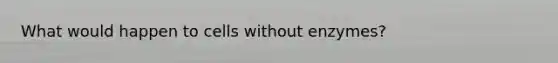 What would happen to cells without enzymes?
