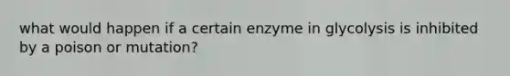 what would happen if a certain enzyme in glycolysis is inhibited by a poison or mutation?