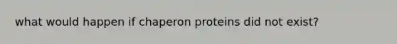 what would happen if chaperon proteins did not exist?