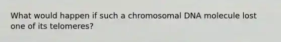 What would happen if such a chromosomal DNA molecule lost one of its telomeres?