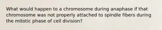 What would happen to a chromosome during anaphase if that chromosome was not properly attached to spindle fibers during the mitotic phase of cell division?