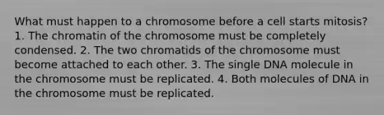 What must happen to a chromosome before a cell starts mitosis? 1. The chromatin of the chromosome must be completely condensed. 2. The two chromatids of the chromosome must become attached to each other. 3. The single DNA molecule in the chromosome must be replicated. 4. Both molecules of DNA in the chromosome must be replicated.