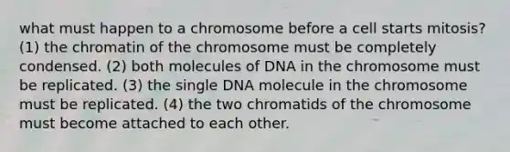 what must happen to a chromosome before a cell starts mitosis? (1) the chromatin of the chromosome must be completely condensed. (2) both molecules of DNA in the chromosome must be replicated. (3) the single DNA molecule in the chromosome must be replicated. (4) the two chromatids of the chromosome must become attached to each other.