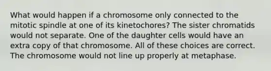 What would happen if a chromosome only connected to the mitotic spindle at one of its kinetochores? The sister chromatids would not separate. One of the daughter cells would have an extra copy of that chromosome. All of these choices are correct. The chromosome would not line up properly at metaphase.