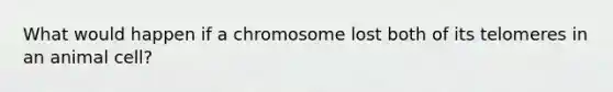 What would happen if a chromosome lost both of its telomeres in an animal cell?