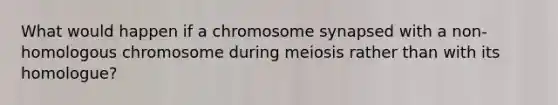 What would happen if a chromosome synapsed with a non-homologous chromosome during meiosis rather than with its homologue?