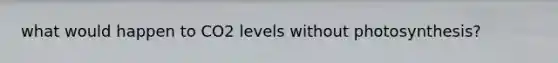 what would happen to CO2 levels without photosynthesis?
