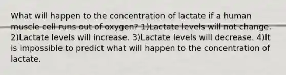 What will happen to the concentration of lactate if a human muscle cell runs out of oxygen? 1)Lactate levels will not change. 2)Lactate levels will increase. 3)Lactate levels will decrease. 4)It is impossible to predict what will happen to the concentration of lactate.