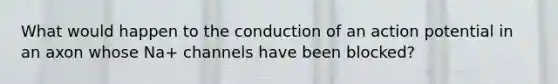 What would happen to the conduction of an action potential in an axon whose Na+ channels have been blocked?