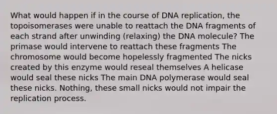 What would happen if in the course of DNA replication, the topoisomerases were unable to reattach the DNA fragments of each strand after unwinding (relaxing) the DNA molecule? The primase would intervene to reattach these fragments The chromosome would become hopelessly fragmented The nicks created by this enzyme would reseal themselves A helicase would seal these nicks The main DNA polymerase would seal these nicks. Nothing, these small nicks would not impair the replication process.