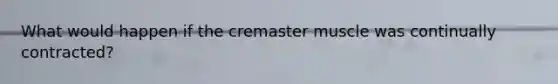 What would happen if the cremaster muscle was continually contracted?