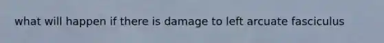 what will happen if there is damage to left arcuate fasciculus