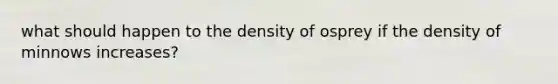 what should happen to the density of osprey if the density of minnows increases?