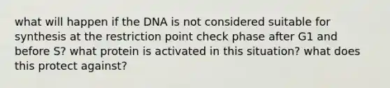 what will happen if the DNA is not considered suitable for synthesis at the restriction point check phase after G1 and before S? what protein is activated in this situation? what does this protect against?