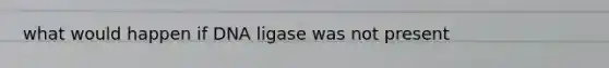 what would happen if DNA ligase was not present