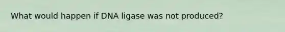 What would happen if DNA ligase was not produced?