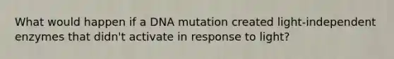 What would happen if a DNA mutation created light-independent enzymes that didn't activate in response to light?