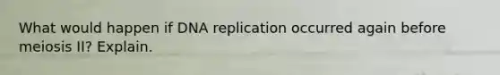 What would happen if DNA replication occurred again before meiosis II? Explain.