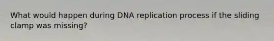 What would happen during <a href='https://www.questionai.com/knowledge/kofV2VQU2J-dna-replication' class='anchor-knowledge'>dna replication</a> process if the sliding clamp was missing?