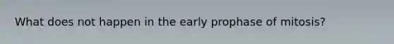 What does not happen in the early prophase of mitosis?