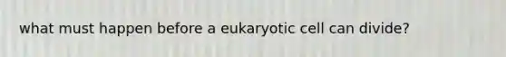 what must happen before a eukaryotic cell can divide?