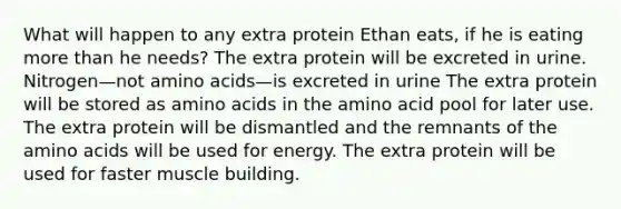 What will happen to any extra protein Ethan eats, if he is eating more than he needs? The extra protein will be excreted in urine. Nitrogen—not amino acids—is excreted in urine The extra protein will be stored as amino acids in the amino acid pool for later use. The extra protein will be dismantled and the remnants of the amino acids will be used for energy. The extra protein will be used for faster muscle building.