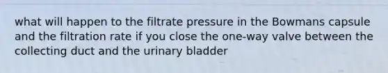 what will happen to the filtrate pressure in the Bowmans capsule and the filtration rate if you close the one-way valve between the collecting duct and the urinary bladder